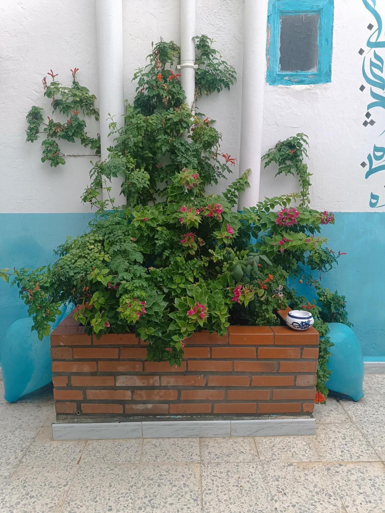 Bed and Breakfast Dar Hkaiem Susa Esterno foto